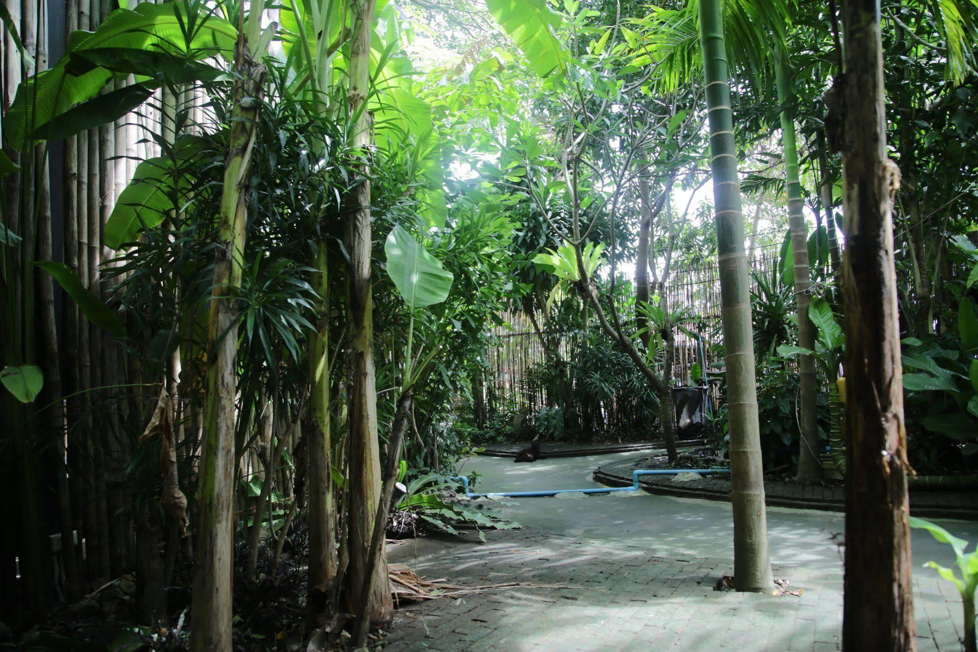 Oyo 585 Freedom Hostel @ Phi Phi Ngoại thất bức ảnh